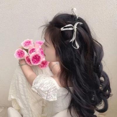 恐怖小说家