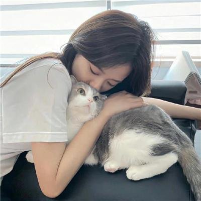 最爱喵星人:我猫威武